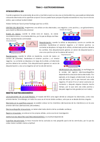 TEMA-2.pdf