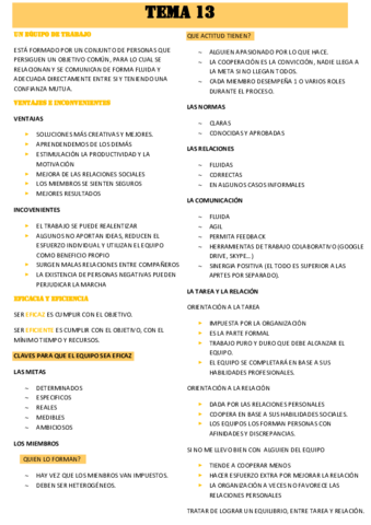 TEMA-13.pdf