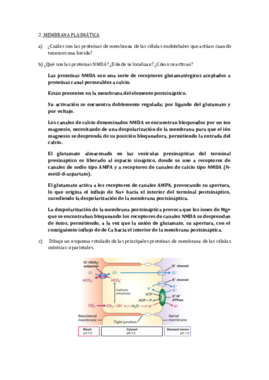 Preguntas biología.pdf