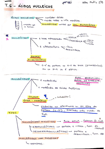 TEMA-6-BIOLOXIA-2018-2019compressed.pdf