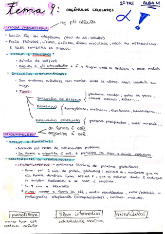 TEMA-9-BIOLOXIA-2018-2019compressed.pdf