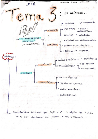 TEMA-3-BIOLOXIA-2018-2019compressed.pdf
