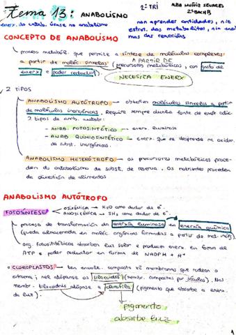 TEMA-13-BIOLOXIA-2018-2019compressed.pdf