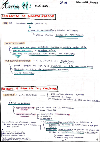 TEMA-11-BIOLOXIA-2018-2019compressed.pdf