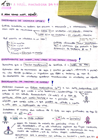 TEMA-14-BIOLOXIA-2018-2019compressed.pdf