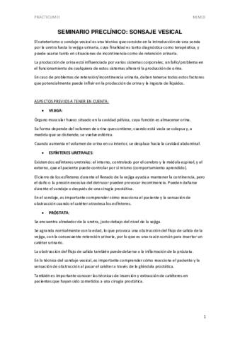 Sondaje-Vesical-PASADO.pdf