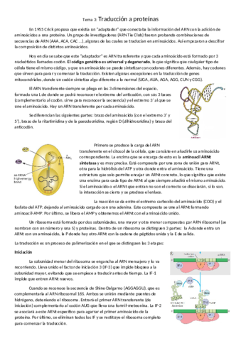 tema-3-traduccion-a-proteinas.pdf