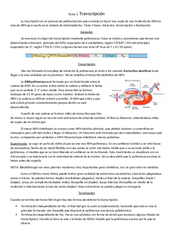 tema-2-transcripcion-del-ADN.pdf