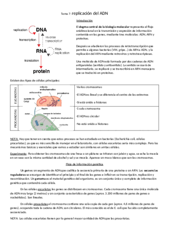 tema-1-replicacion-del-ADN.pdf