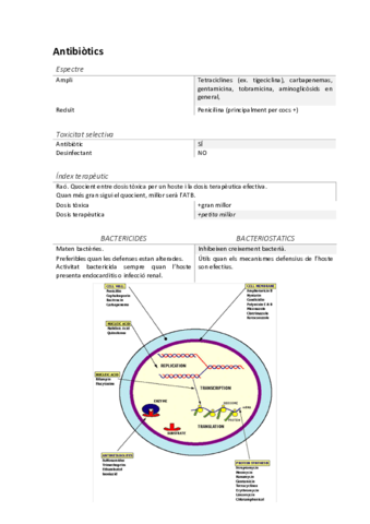 Apuntes-examen-antibioticos.pdf