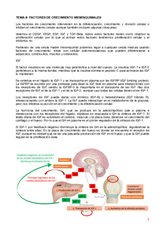 TEMA-8-FACTORES-DE-CRECIMIENTO-MESENQUIMALES.pdf