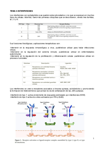 TEMA-3-INTERFERONES.pdf