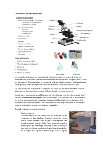 Resumen-todas-practicas-microbiologia.pdf