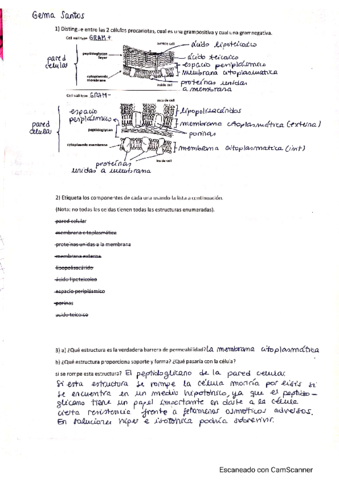 tasca-paredgema.pdf