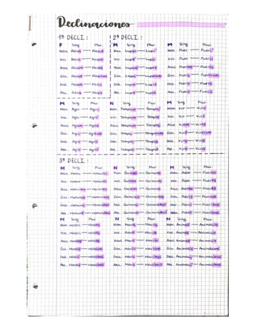 Declinaciones.pdf