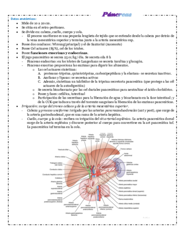 pancrea-apendice-estomago.pdf