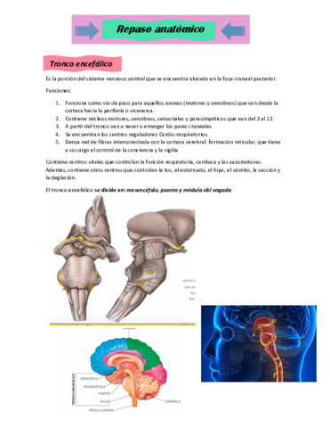 Paralisis-facial.pdf