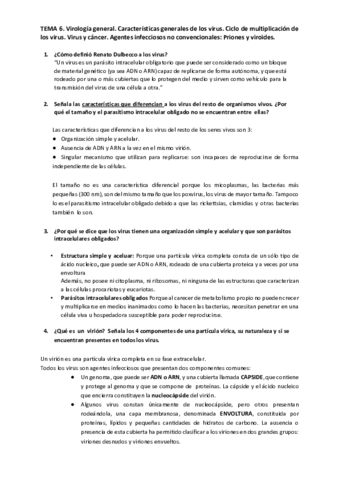 TEMA-6.pdf