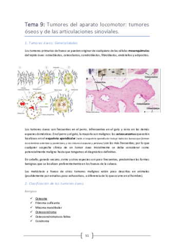 Tema-9.pdf