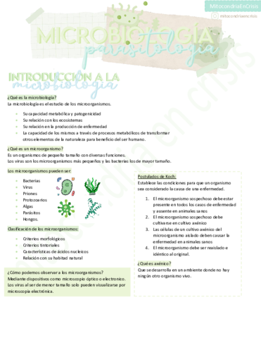 Micro-final-completo.pdf