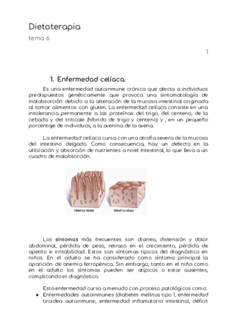 Dietoterapia-Resumen-Tema-6.pdf