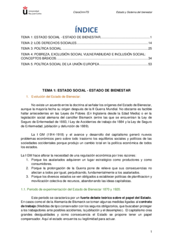TEORIA-ESTADO-Y-SISTEMA-DEL-BIENESTARClara-TS.pdf
