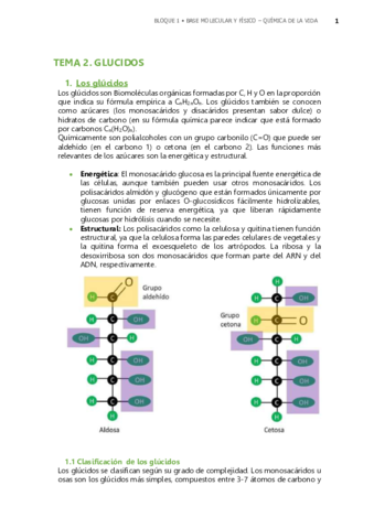 TEMA-2-GLUCIDOS.pdf