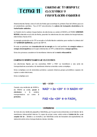 BIOQUIMICA-T11.pdf