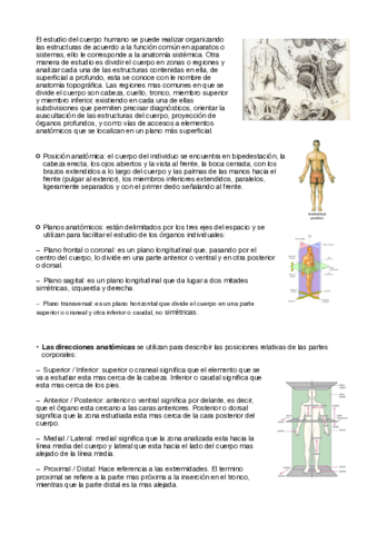 ANATOMIA-Y-CAVIDADES.pdf
