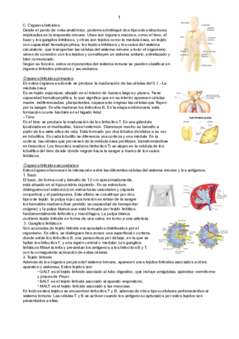 ORGANOS-LINFOIDES.pdf