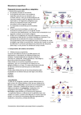 MECANISMOS-ESPECIFICOS.pdf