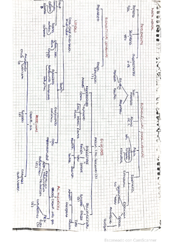 ESQUEMAS-BIOLOGIA-UNIDAD-1.pdf