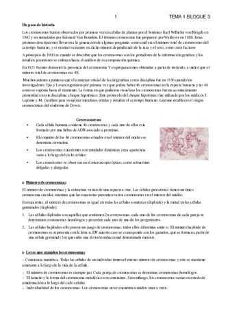 CROMOSOMAS.pdf