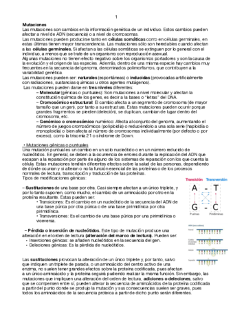 MUTACIONES.pdf
