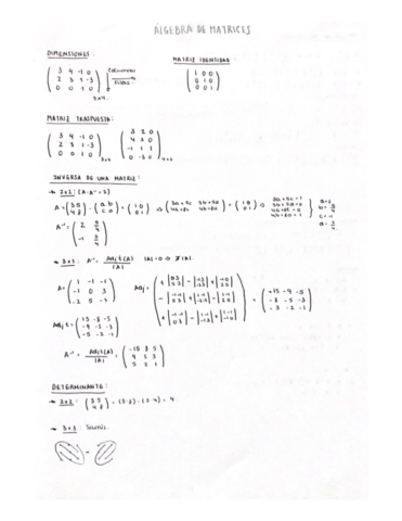 ALGEBRA-DE-MATRICES.pdf