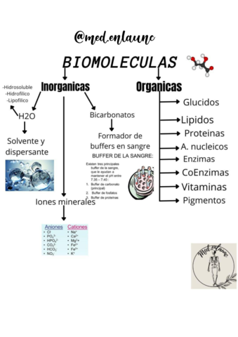 Biomoleculas.pdf