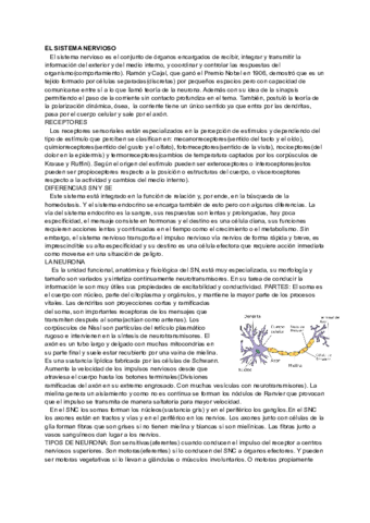 nervioso-1.pdf