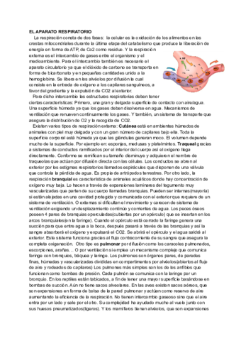 respiratorio.pdf