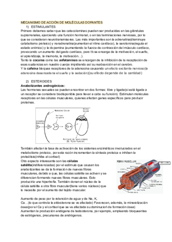 mecanismo-dopaje.pdf
