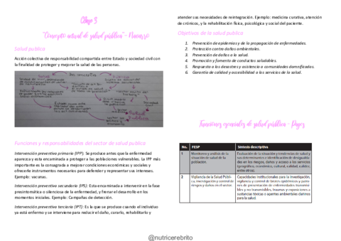 ISP-3-Concepto-areas-y-Funciones-de-la-Salud-publica-Nutricerebrito.pdf