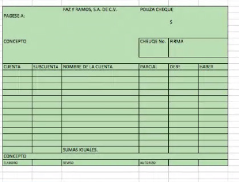 POLIZA-DE-CHEQUE.pdf