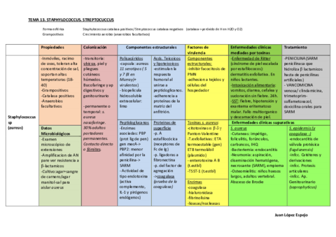 10 primeros temas.pdf