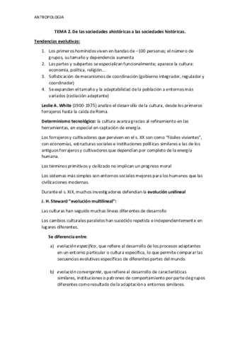 TEMA-2.pdf