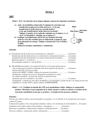METABOLISMO.pdf