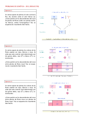 Problemas-genetica-mendeliana-resueltos-II.pdf