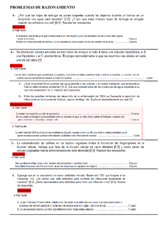 PROBLEMAS-DE-RAZONAMIENTO-2.pdf