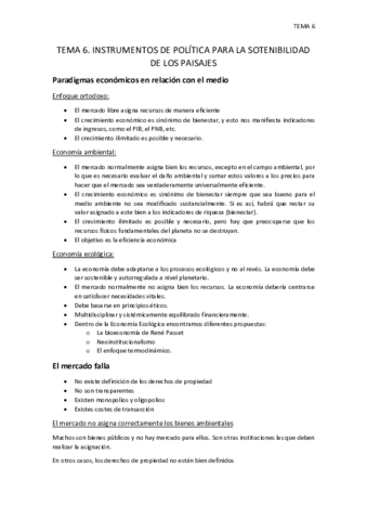 TEMA-6-INSTRUMENTOS-DE-POLITICA-.pdf