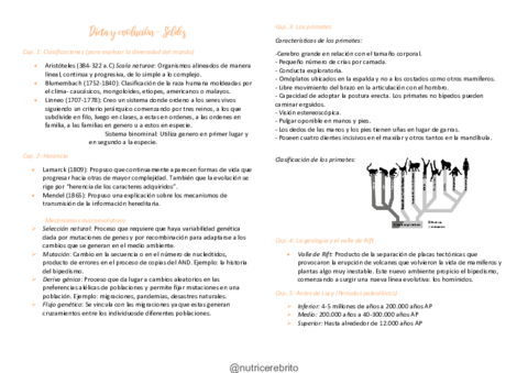 Socioantropologia-11-Seldes-Nutricerebrito.pdf