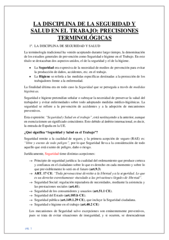 LA-DISCIPLINA-DE-LA-SEGURIDAD-Y-SALUD-EN-EL-TRABAJO-Tema-1.pdf