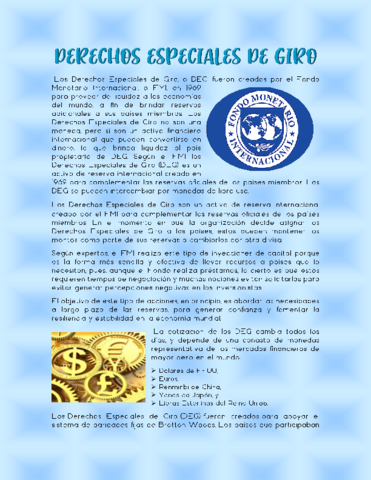 Derechos-Especiales-de-Giro.pdf